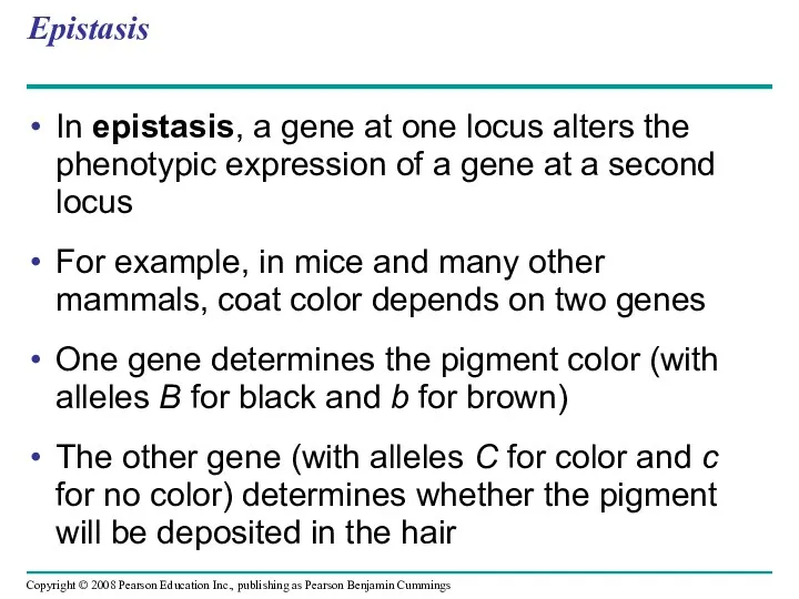 Epistasis In epistasis, a gene at one locus alters the