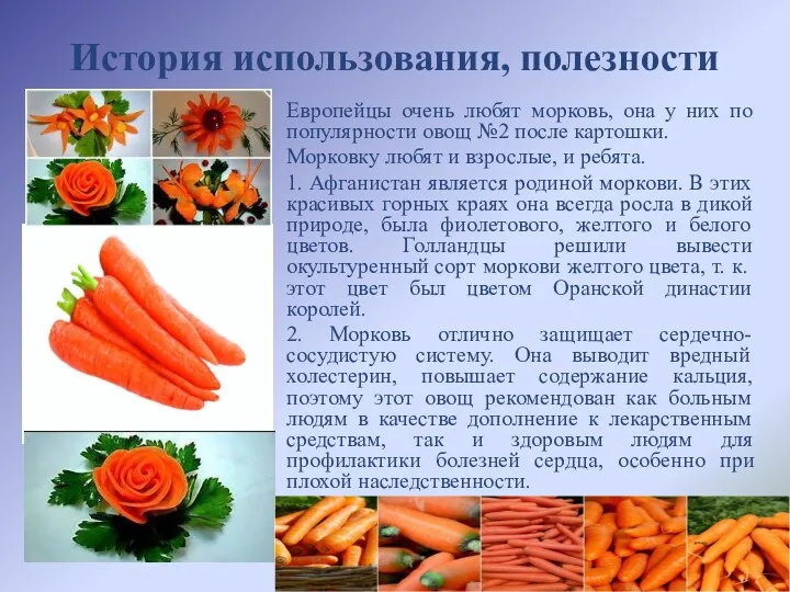 История использования, полезности Европейцы очень любят морковь, она у них
