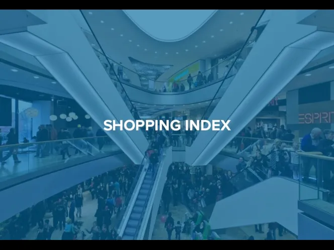 SHOPPING INDEX