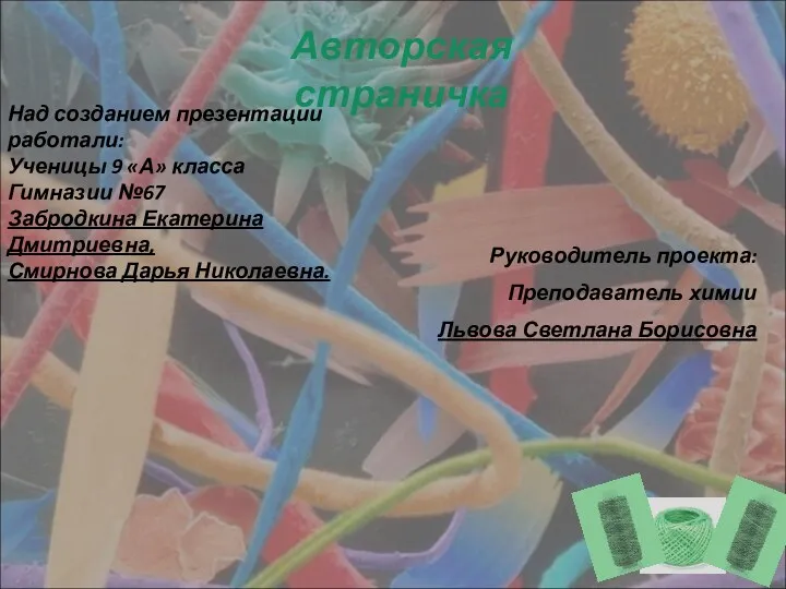 Авторская страничка Над созданием презентации работали: Ученицы 9 «А» класса