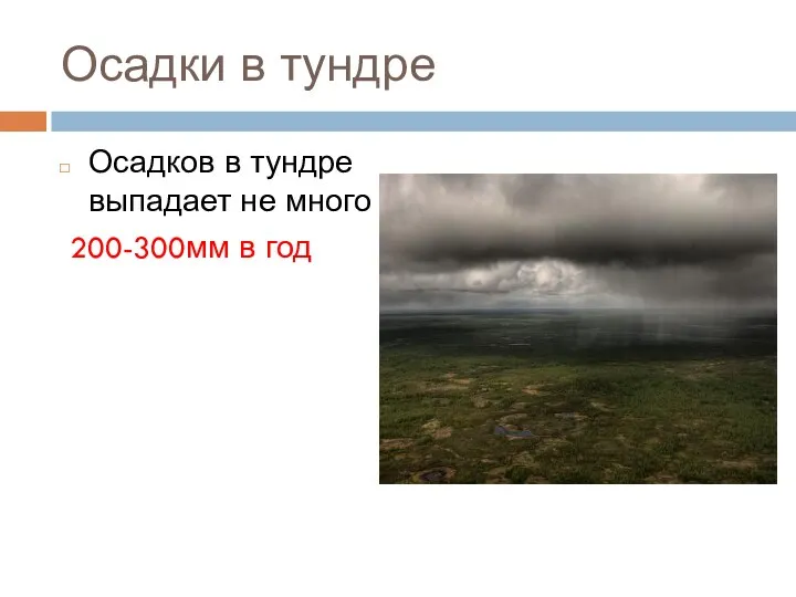 Осадки в тундре Осадков в тундре выпадает не много 200-300мм в год