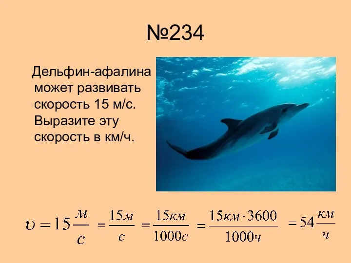 №234 Дельфин-афалина может развивать скорость 15 м/c. Выразите эту скорость в км/ч.