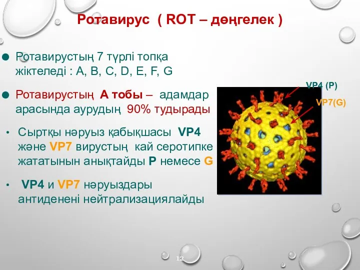 VP7(G) VP4 (P) Ротавирустың 7 түрлі топқа жіктеледі : A, B, C, D,