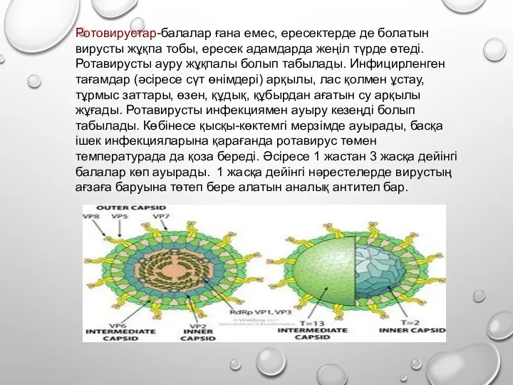 Ротовирустар-балалар ғана емес, ересектерде де болатын вирусты жұқпа тобы, ересек адамдарда жеңіл түрде