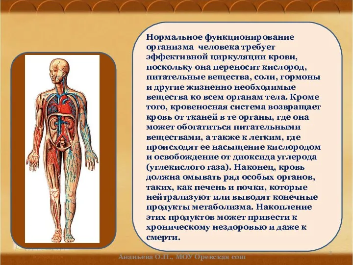 Нормальное функционирование организма человека требует эффективной циркуляции крови, поскольку она