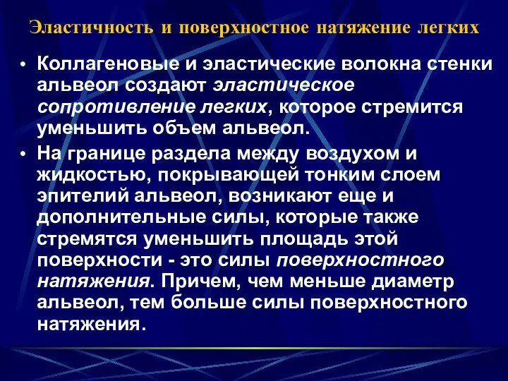 Эластичность и поверхностное натяжение легких Коллагеновые и эластические волокна стенки