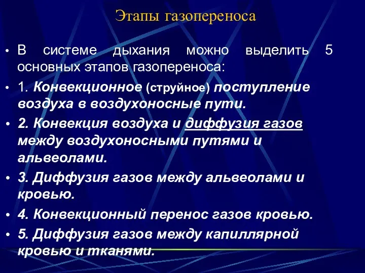 Этапы газопереноса В системе дыхания можно выделить 5 основных этапов