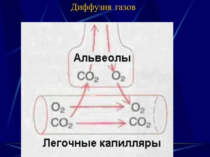 Диффузия газов