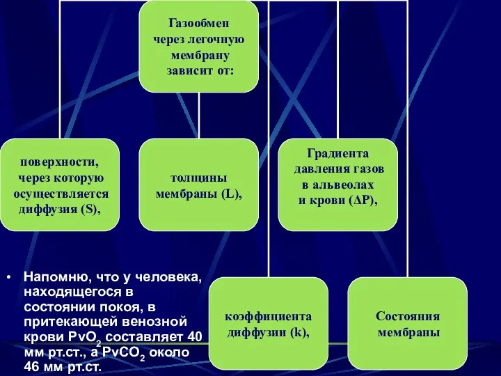 Напомню, что у человека, находящегося в состоянии покоя, в притекающей