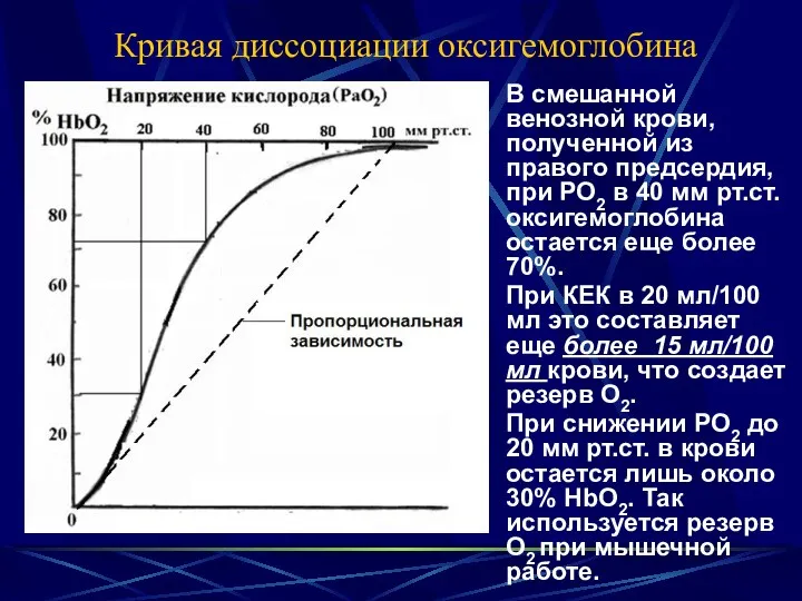 Кривая диссоциации оксигемоглобина В смешанной венозной крови, полученной из правого