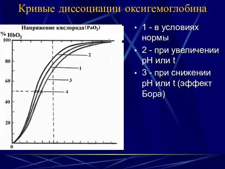 Кривые диссоциации оксигемоглобина 1 - в условиях нормы 2 -