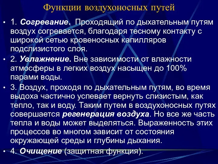 Функции воздухоносных путей 1. Согревание. Проходящий по дыхательным путям воздух