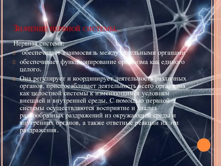 Значение нервной системы. Нервная система: обеспечивает взаимосвязь между отдельными органами