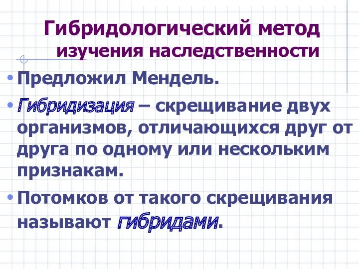 Гибридологический метод изучения наследственности Предложил Мендель. Гибридизация – скрещивание двух