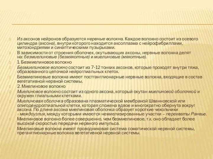 Из аксонов нейронов образуются нервные волокна. Каждое волокно состоит из