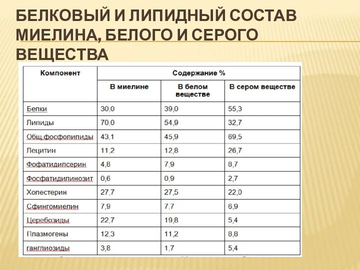 БЕЛКОВЫЙ И ЛИПИДНЫЙ СОСТАВ МИЕЛИНА, БЕЛОГО И СЕРОГО ВЕЩЕСТВА