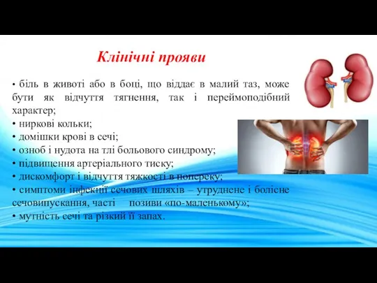 Клінічні прояви • біль в животі або в боці, що