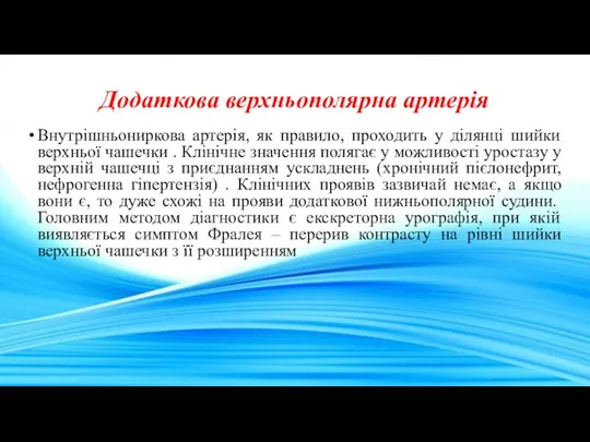 Додаткова верхньополярна артерія Внутрішньониркова артерія, як правило, проходить у ділянці