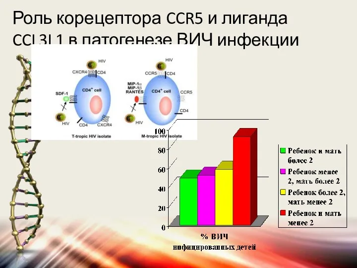 Роль корецептора CCR5 и лиганда CCL3L1 в патогенезе ВИЧ инфекции