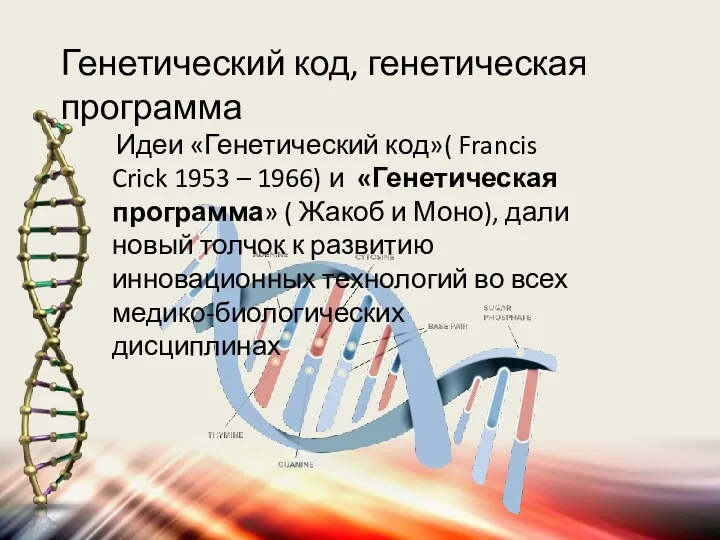Генетический код, генетическая программа Идеи «Генетический код»( Francis Crick 1953