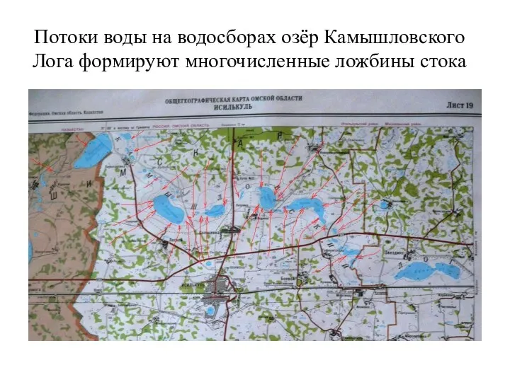 Потоки воды на водосборах озёр Камышловского Лога формируют многочисленные ложбины стока
