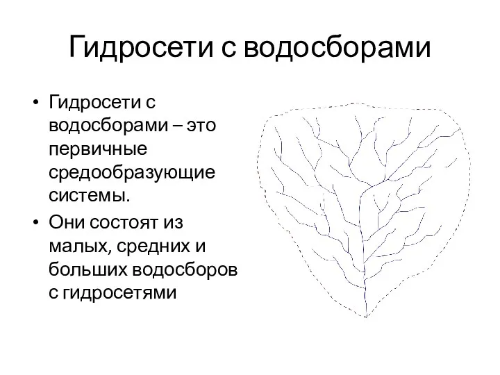 Гидросети с водосборами Гидросети с водосборами – это первичные средообразующие