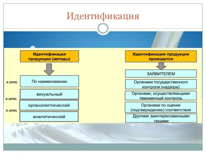 Идентификация