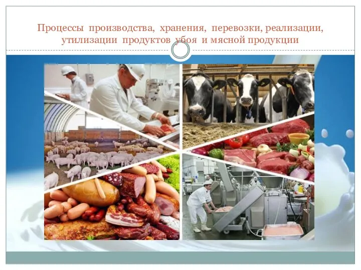 Процессы производства, хранения, перевозки, реализации, утилизации продуктов убоя и мясной продукции