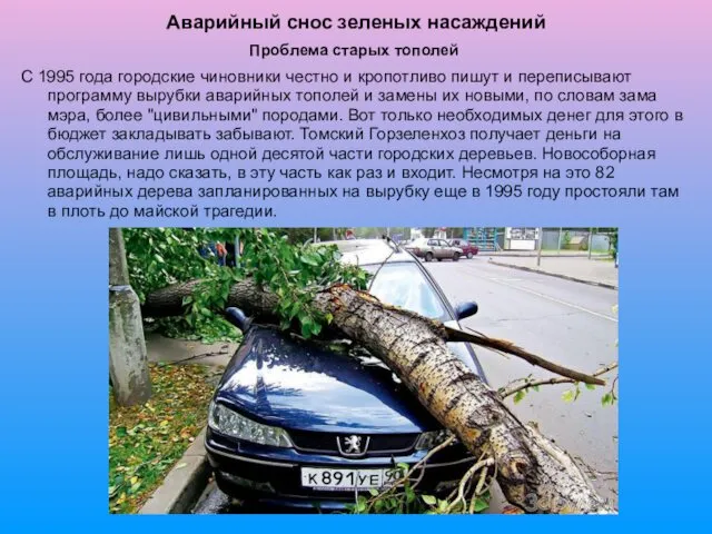 Аварийный снос зеленых насаждений Проблема старых тополей С 1995 года городские чиновники честно