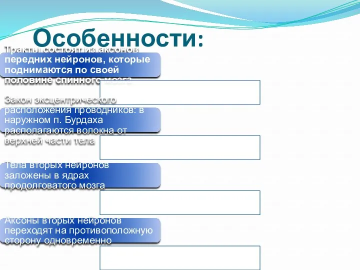 Особенности: Тракты состоят из аксонов передних нейронов, которые поднимаются по