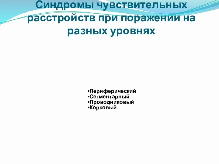 Синдромы чувствительных расстройств при поражении на разных уровнях Периферический Сегментарный Проводниковый Корковый