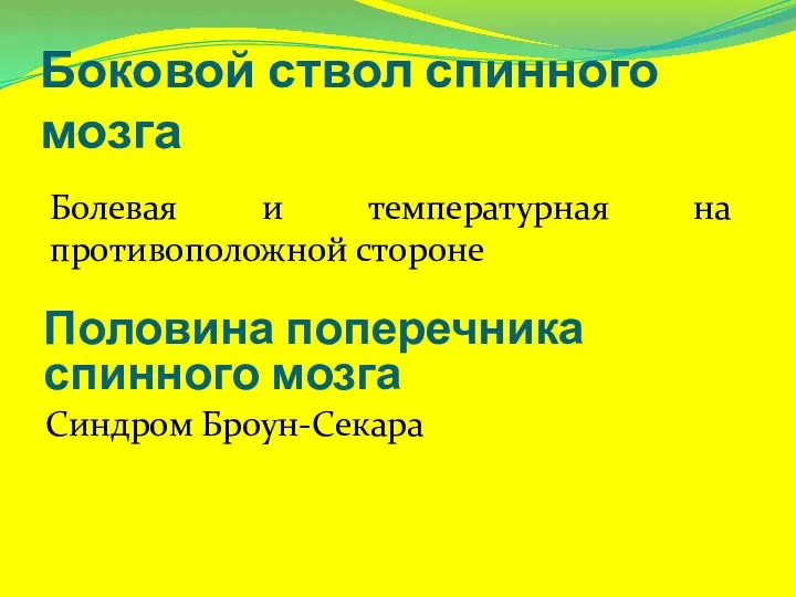 Боковой ствол спинного мозга Синдром Броун-Секара Половина поперечника спинного мозга Болевая и температурная на противоположной стороне