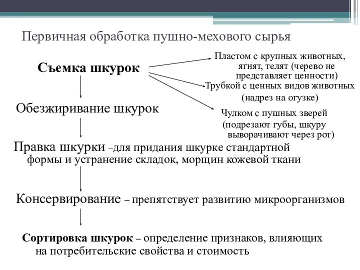 Первичная обработка пушно-мехового сырья Съемка шкурок Пластом с крупных животных,