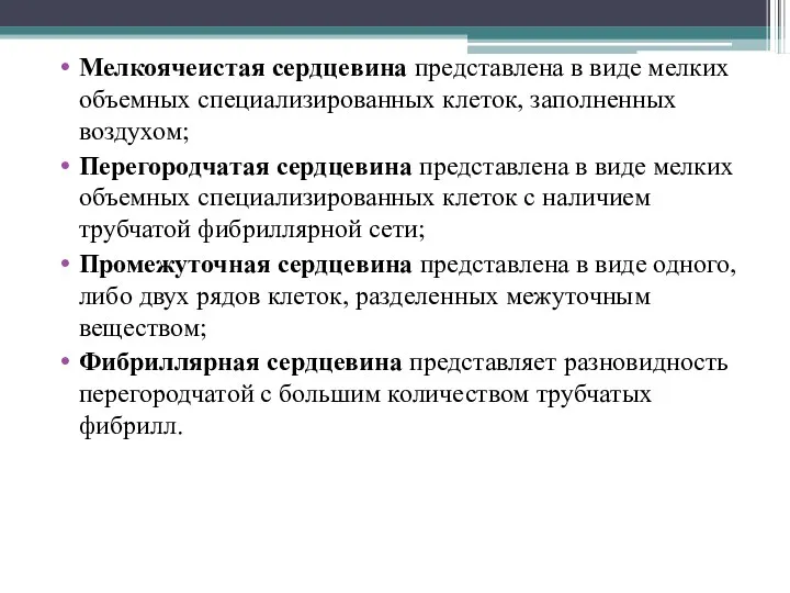 Мелкоячеистая сердцевина представлена в виде мелких объемных специализированных клеток, заполненных