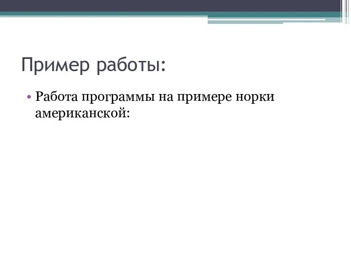 Пример работы: Работа программы на примере норки американской: