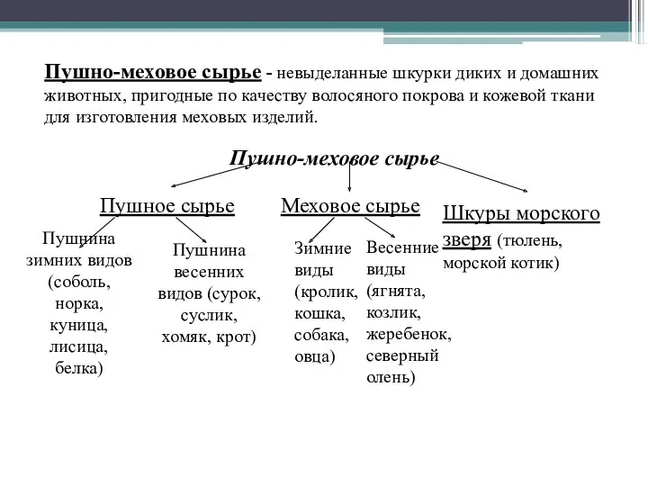 Пушно-меховое сырье - невыделанные шкурки диких и домашних животных, пригодные