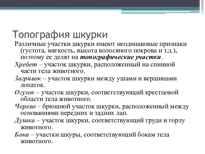 Топография шкурки Различные участки шкурки имеют неодинаковые признаки (густота, мягкость,