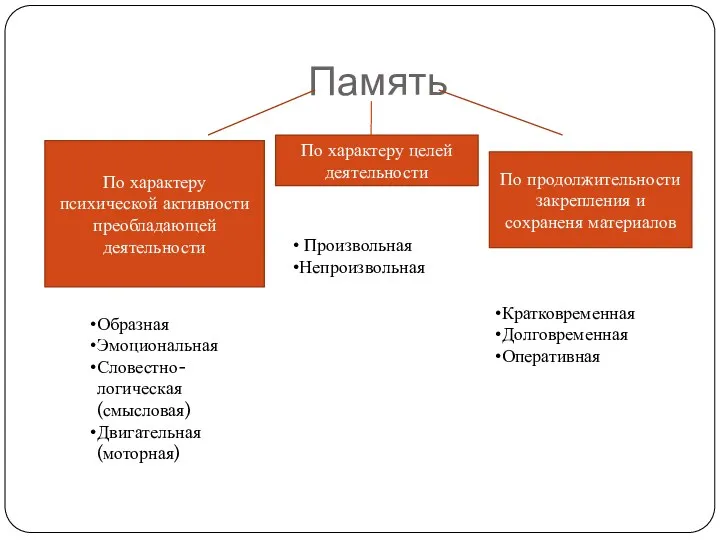 Память По характеру психической активности преобладающей деятельности По характеру целей