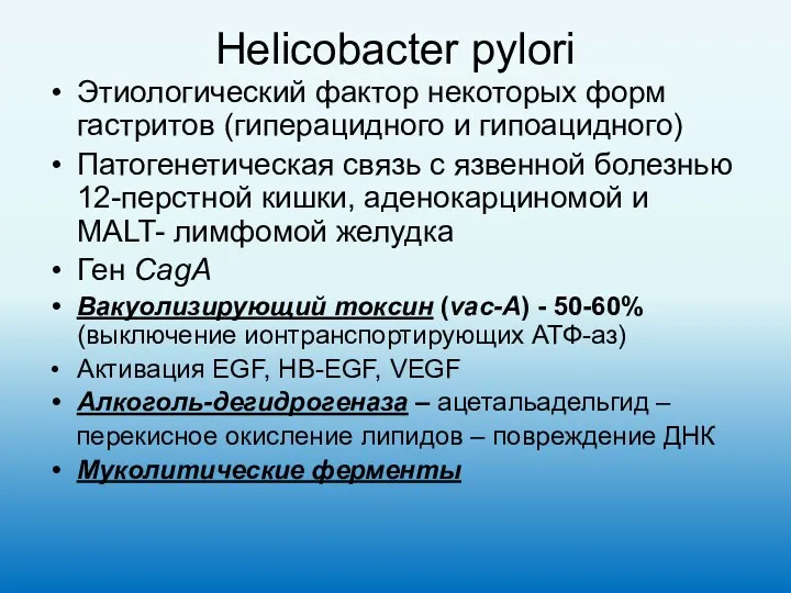 Helicobacter pylori Этиологический фактор некоторых форм гастритов (гиперацидного и гипоацидного)
