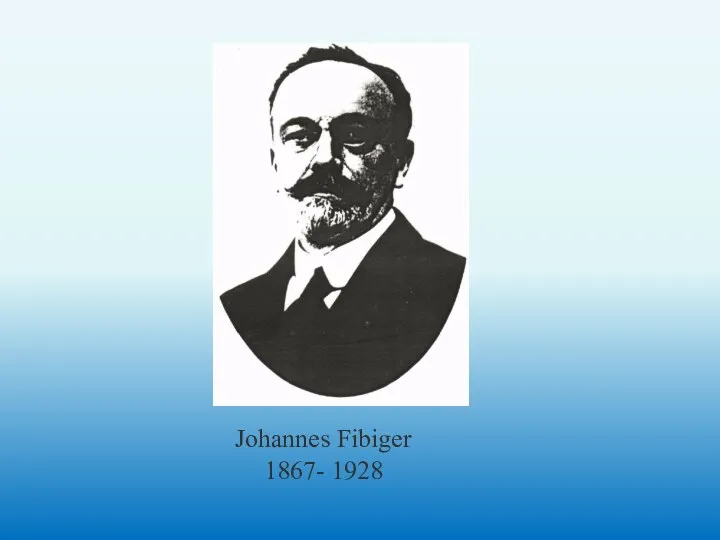 Johannes Fibiger 1867- 1928