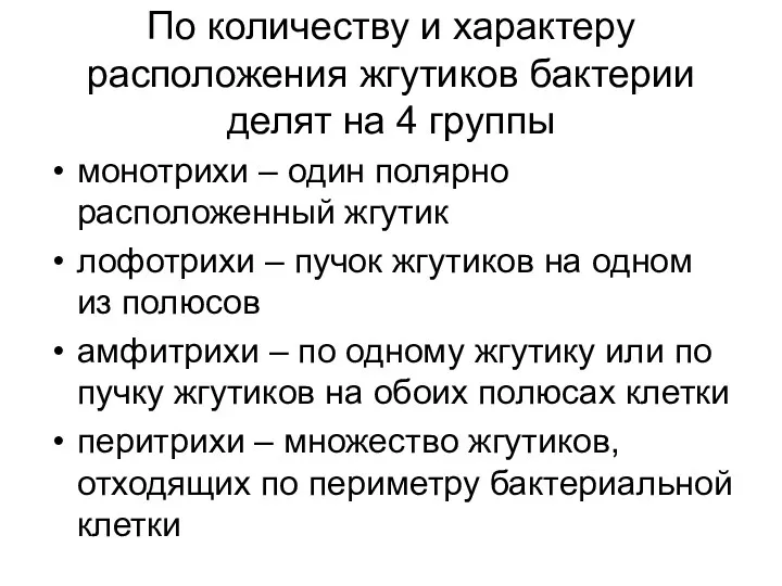 По количеству и характеру расположения жгутиков бактерии делят на 4