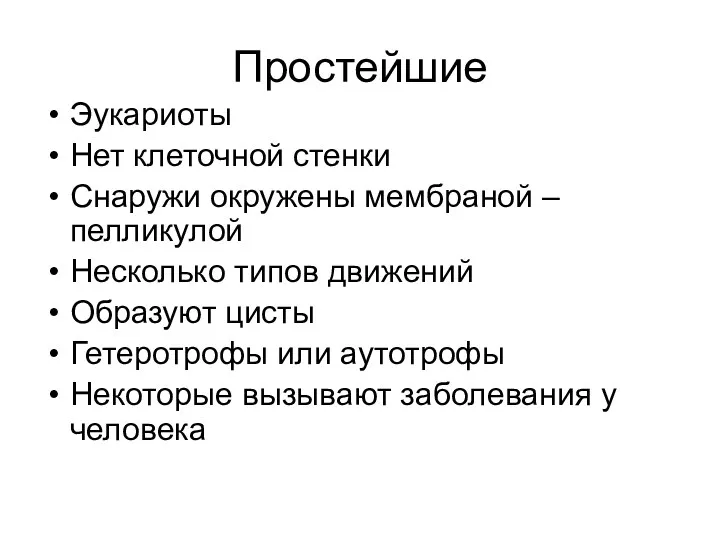 Простейшие Эукариоты Нет клеточной стенки Снаружи окружены мембраной – пелликулой