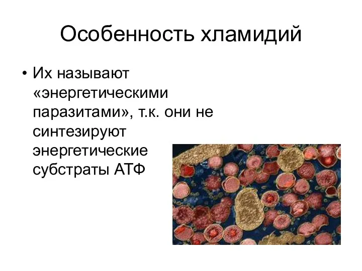 Особенность хламидий Их называют «энергетическими паразитами», т.к. они не синтезируют энергетические субстраты АТФ