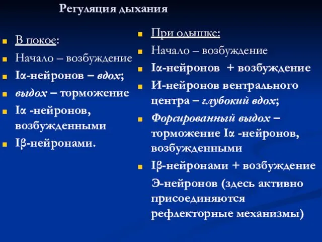 Регуляция дыхания В покое: Начало – возбуждение Iα-нейронов – вдох;