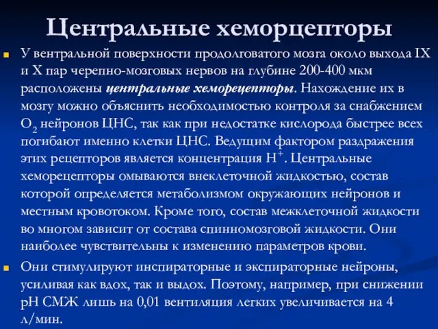 Центральные хеморцепторы У вентральной поверхности продолговатого мозга около выхода IХ