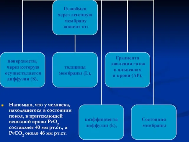 Напомню, что у человека, находящегося в состоянии покоя, в притекающей