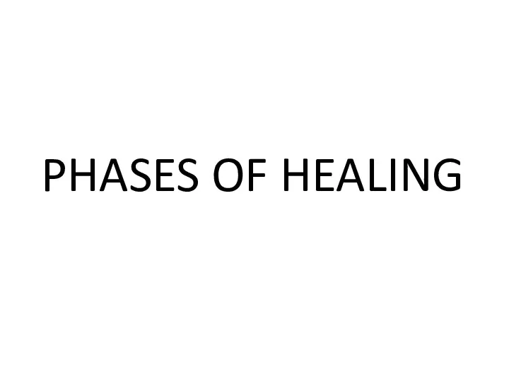 PHASES OF HEALING
