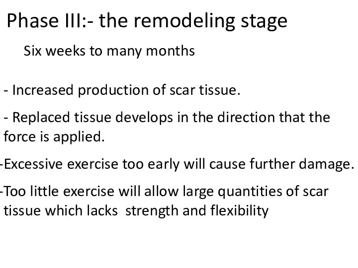 Phase III:- the remodeling stage Six weeks to many months