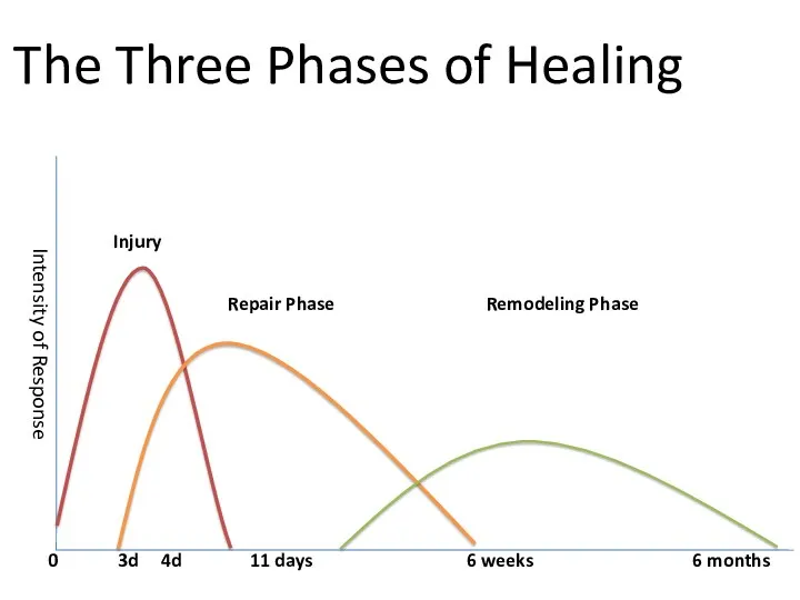 The Three Phases of Healing
