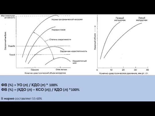 ФВ (%) = УО (л) / КДО (л) * 100%
